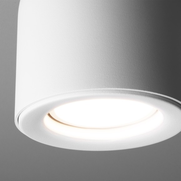 Светильник накладной белый DLN116 GU10 Elektrostandard