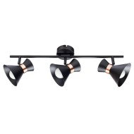 Спот Baltimore a1406pl-3bk Arte Lamp