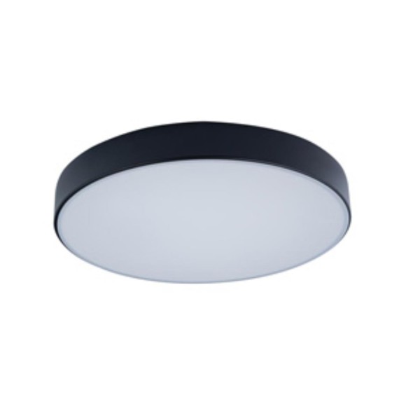Светильник потолочный 10002/24 Black LOFT IT Axel