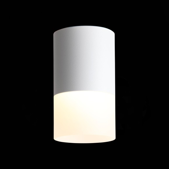 Светильник потолочный OTTU luce st100.542.10 ST LUCE Светильник потолочный OTTU luce st100.542.10 ST LUCE