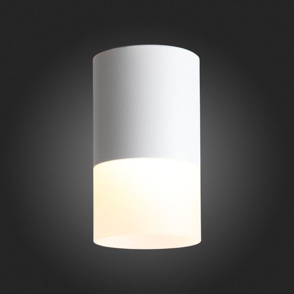 Светильник потолочный OTTU luce st100.542.10 ST LUCE Светильник потолочный OTTU luce st100.542.10 ST LUCE