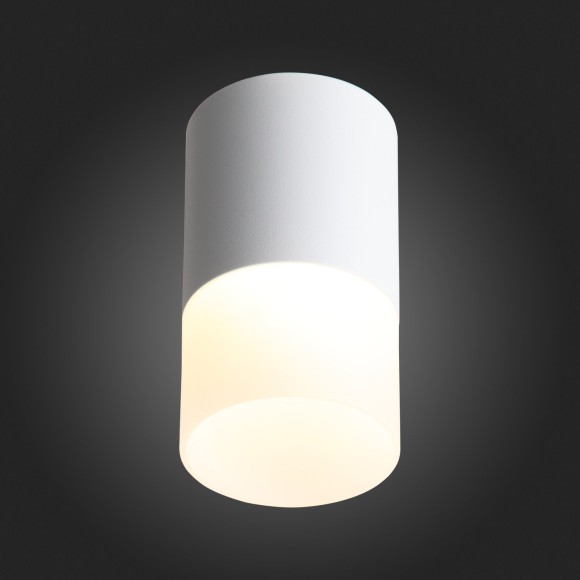 Светильник потолочный OTTU luce st100.542.10 ST LUCE Светильник потолочный OTTU luce st100.542.10 ST LUCE