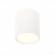 Светильник потолочный RENE luce st113.532.05 ST LUCE