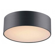 Потолочный светильник Favourite Cerchi 1514-2C1 Потолочный светильник Favourite Cerchi 1514-2C1