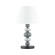 Настольная лампа Odeon Light 4896/1T