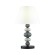 Настольная лампа Odeon Light 4896/1T