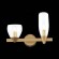 Светильник настенный TENERESA luce sl1119.201.02 ST LUCE