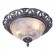 Светильник потолочный Piatti a8001pl-2sb Arte Lamp
