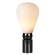 Настольная лампа Odeon Light 5418/1T