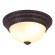 Светильник потолочный Piatti a8007pl-2ck Arte Lamp