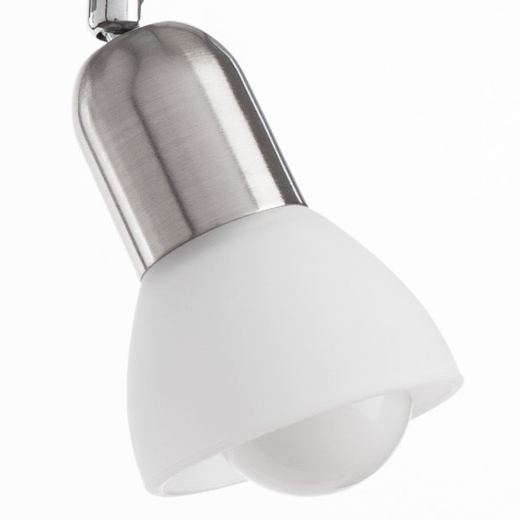 Спот Falena a3115pl-2ss Arte Lamp картинка 2 Спот Falena a3115pl-2ss Arte Lamp картинка 2