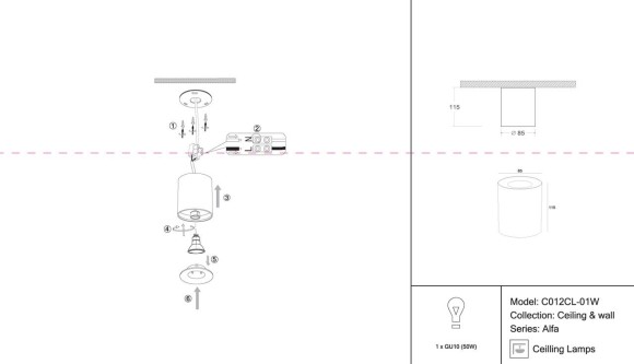 Потолочный светильник Maytoni Alfa C012CL-01W