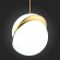 Светильник подвесной LAICO luce sl1164.313.01 ST LUCE