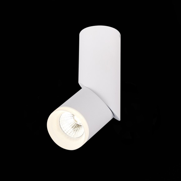 Светильник потолочный TORTELLE luce st107.542.10 ST LUCE Светильник потолочный TORTELLE luce st107.542.10 ST LUCE