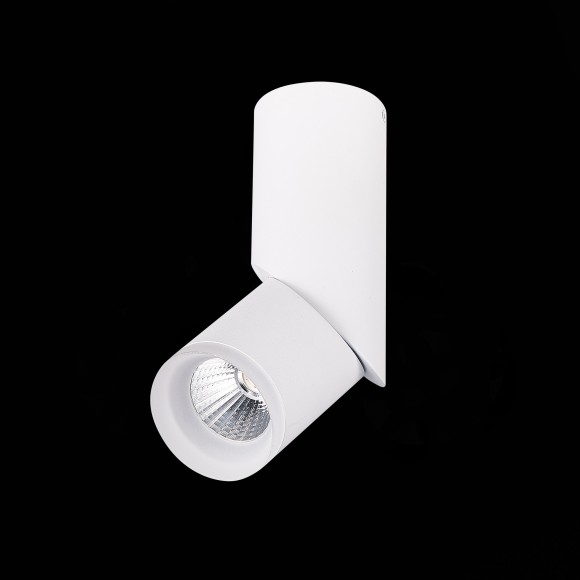 Светильник потолочный TORTELLE luce st107.542.10 ST LUCE Светильник потолочный TORTELLE luce st107.542.10 ST LUCE