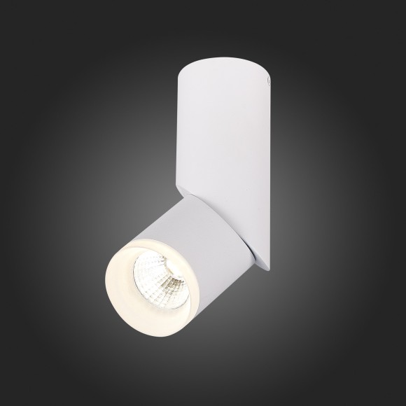 Светильник потолочный TORTELLE luce st107.542.10 ST LUCE Светильник потолочный TORTELLE luce st107.542.10 ST LUCE