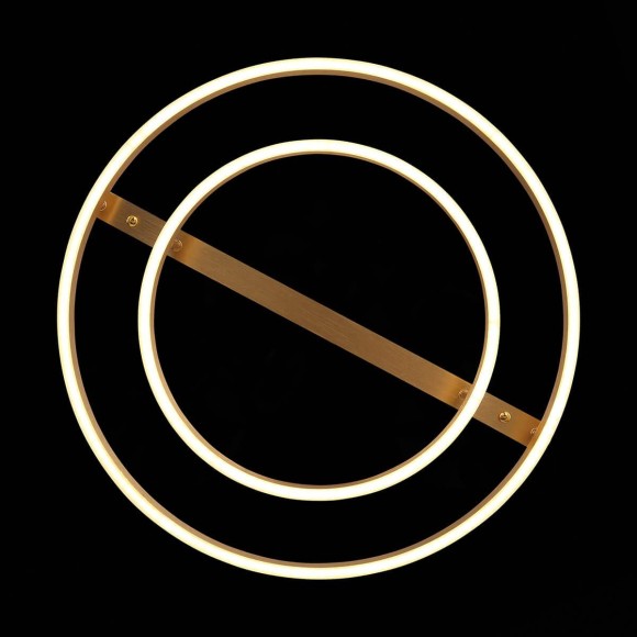 Потолочная светодиодная люстра ST Luce Onze SL944.202.02 Потолочная светодиодная люстра ST Luce Onze SL944.202.02