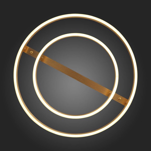 Потолочная светодиодная люстра ST Luce Onze SL944.202.02 Потолочная светодиодная люстра ST Luce Onze SL944.202.02