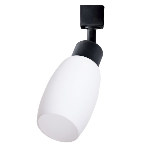 Светильник потолочный Miia a3055pl-1bk Arte Lamp