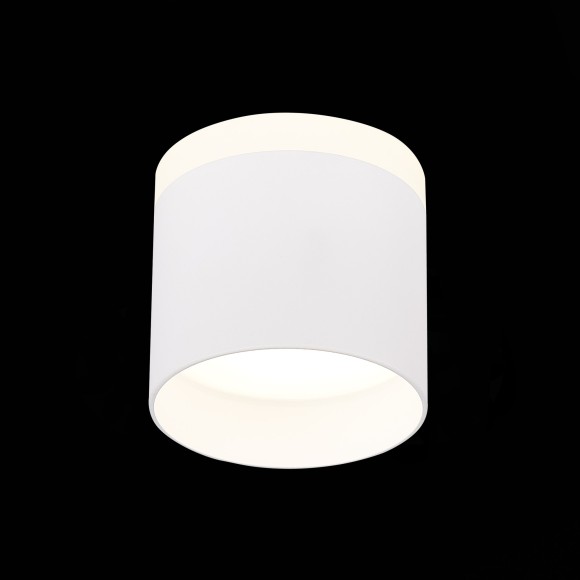 Светильник потолочный PANAGGIO luce st102.542.09 ST LUCE