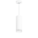 Комплект со светильником Rullo Rullo Lightstar RP48630