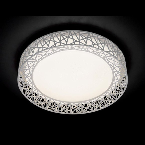 Потолочный светодиодный светильник Ambrella light Orbital Design F122 WH 72W D450