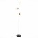 Торшер Evoluce SLE220405-03