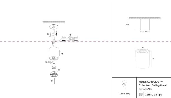 Потолочный светильник Maytoni Alfa C016CL-01W