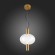 Светильник подвесной ALLENORE luce sl1582.303.01 ST LUCE
