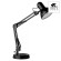 Настольная лампа Junior a1330lt-1bk Arte Lamp