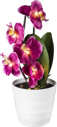 Настольная лампа декоративная Globo 28022P