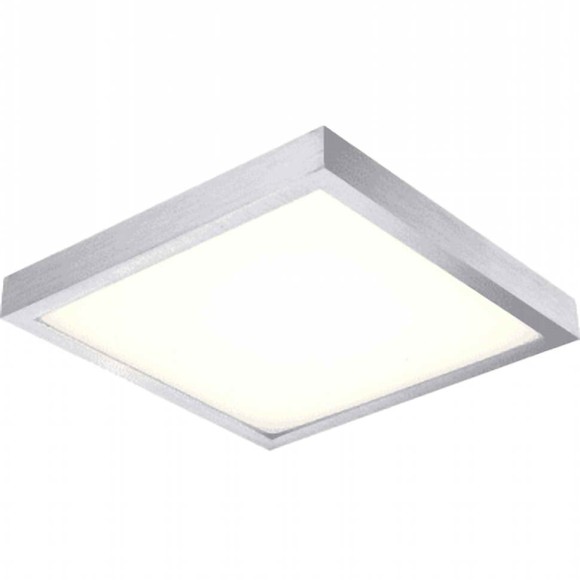 Светильник настенно-потолочный Globo 41663