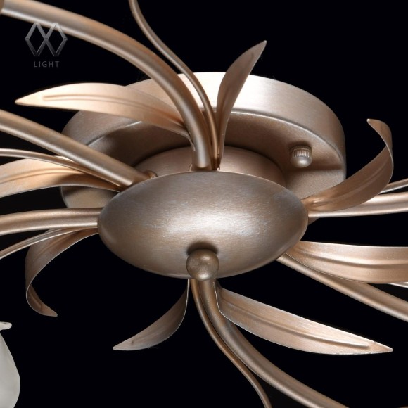 Потолочная люстра MW-Light Восторг 19 242016306