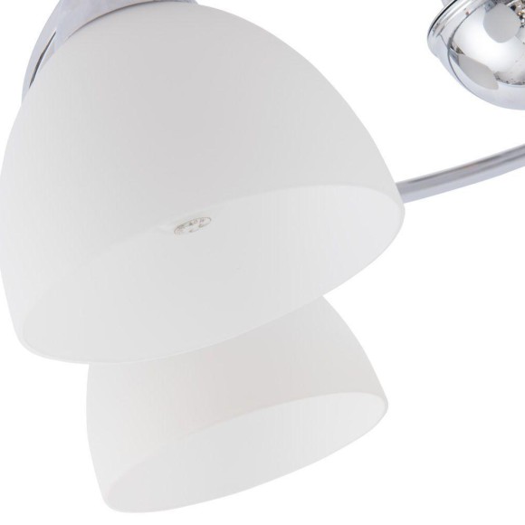 Светильник потолочный Palermo a6057pl-5cc Arte Lamp