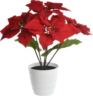 Настольная лампа декоративная Globo 28024