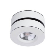 Светильник потолочный Vela a2508pl-1wh Arte Lamp