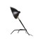 Настольная лампа SPRUZZO luce sl305.404.01 ST LUCE