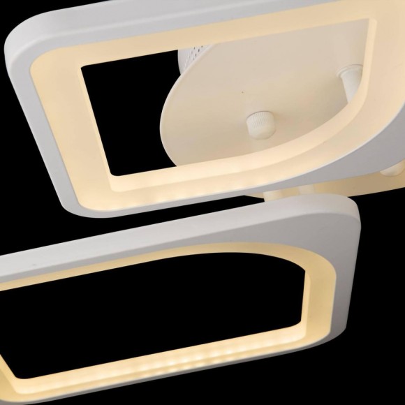 Настенно-потолочный светильник Top Light Wifa TL9144Y-02PN