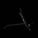 Торшер SPRUZZO luce sl305.405.03 ST LUCE