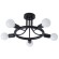 Светильник потолочный Highgarden a6063pl-5bk Arte Lamp
