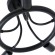 Светильник потолочный Highgarden a6063pl-5bk Arte Lamp