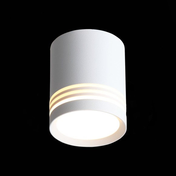 Светильник потолочный CERIONE luce st101.502.05 ST LUCE Светильник потолочный CERIONE luce st101.502.05 ST LUCE