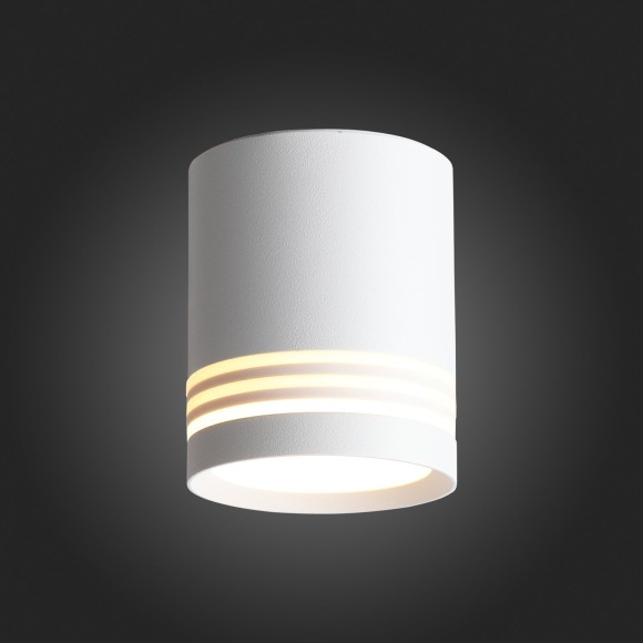 Светильник потолочный CERIONE luce st101.502.05 ST LUCE Светильник потолочный CERIONE luce st101.502.05 ST LUCE