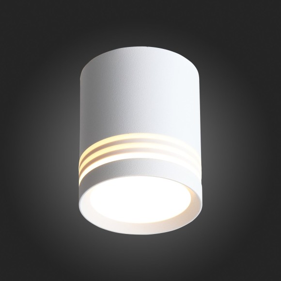 Светильник потолочный CERIONE luce st101.502.05 ST LUCE Светильник потолочный CERIONE luce st101.502.05 ST LUCE