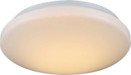 Светильник настенно-потолочный Globo 41642