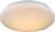 Светильник настенно-потолочный Globo 41642