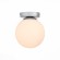 Настенно-потолочный светильник ST Luce Acini SL717.501.01