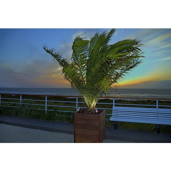 Уличный светильник Nautilus LED 304 S теплыми белый 230812