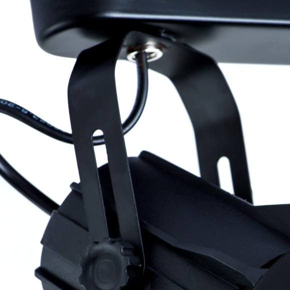 Светильник потолочный Lyra a6252pl-4bk Arte Lamp картинка 2 Светильник потолочный Lyra a6252pl-4bk Arte Lamp картинка 2