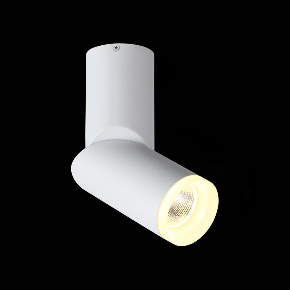 Светильник потолочный TORTELLE luce st107.502.10 ST LUCE